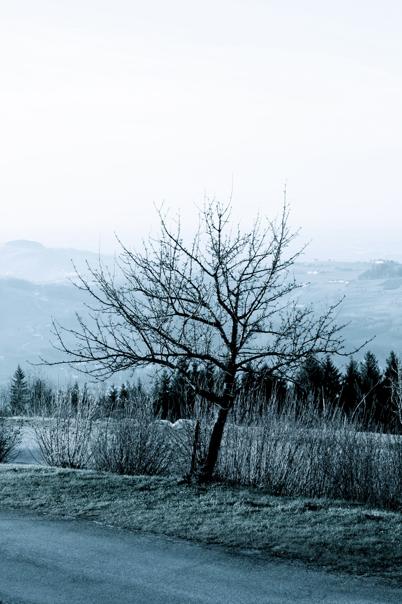 Illustration for article titled Shooting Challenge: Gray Winter